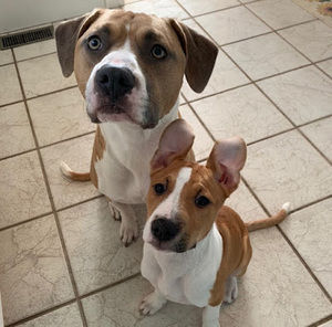 Meet your Posher, Haley